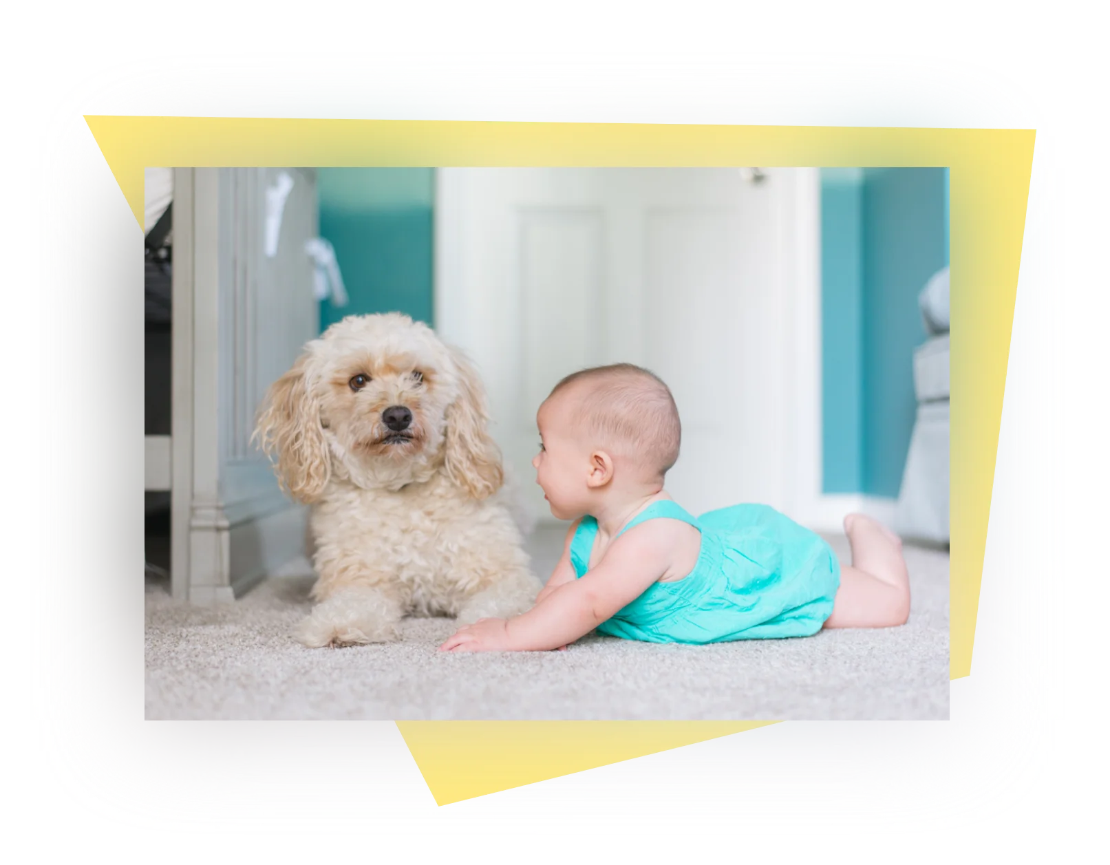 Happy Baby Playing with Dog - Sapphire Homes Cleaning